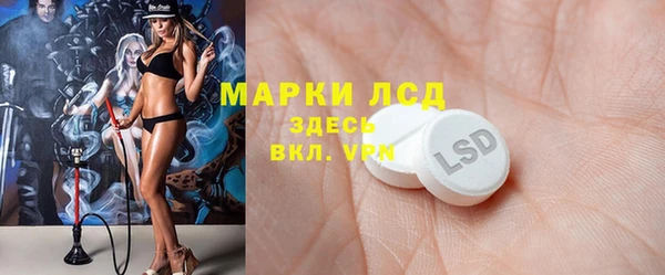 ГАЛЛЮЦИНОГЕННЫЕ ГРИБЫ Балахна