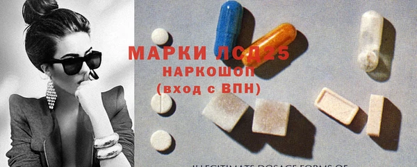 ГАЛЛЮЦИНОГЕННЫЕ ГРИБЫ Балахна